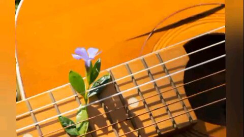 Cover, " Just Like You Said It Would Be" by Sinead O Connor