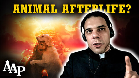 Do Animals have a Soul? | Do Pets Make it to Heaven? (Fr. Anthony Amato)