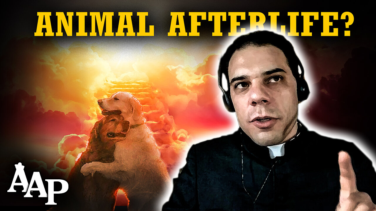 Do Animals have a Soul? | Do Pets Make it to Heaven? (Fr. Anthony Amato)
