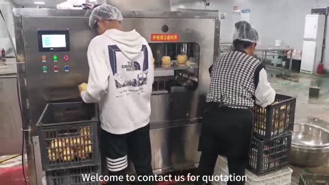 smart fruit peeling machine