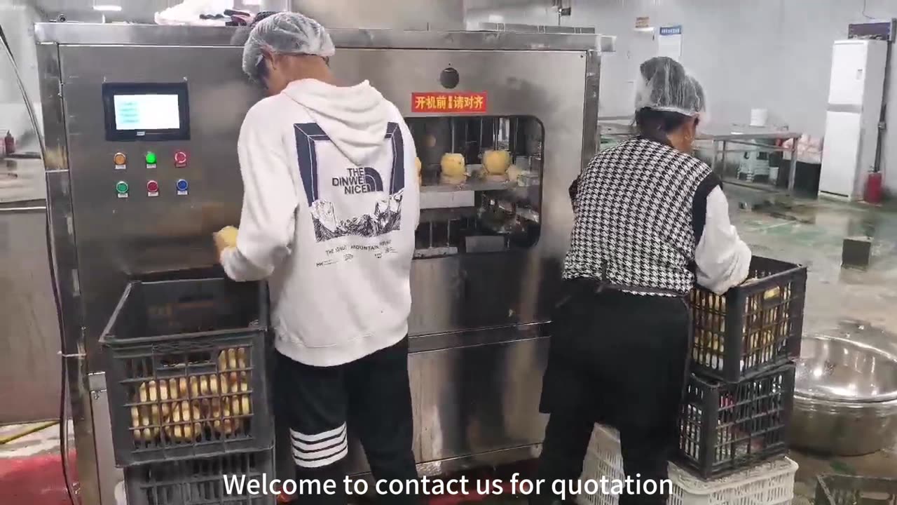 smart fruit peeling machine