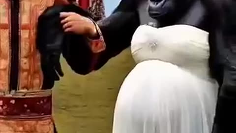 "Bride vs. Gorilla: The Funniest Wedding Moment Ever! 😂"