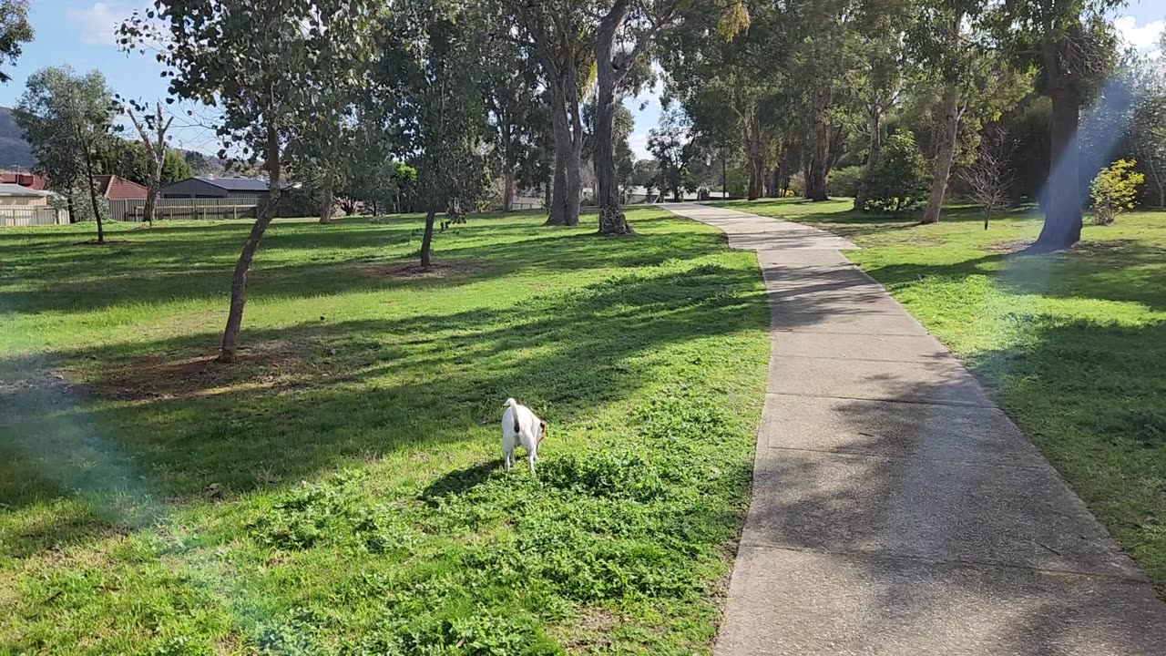Hume & Hovell Track-Thurgoona Nsw