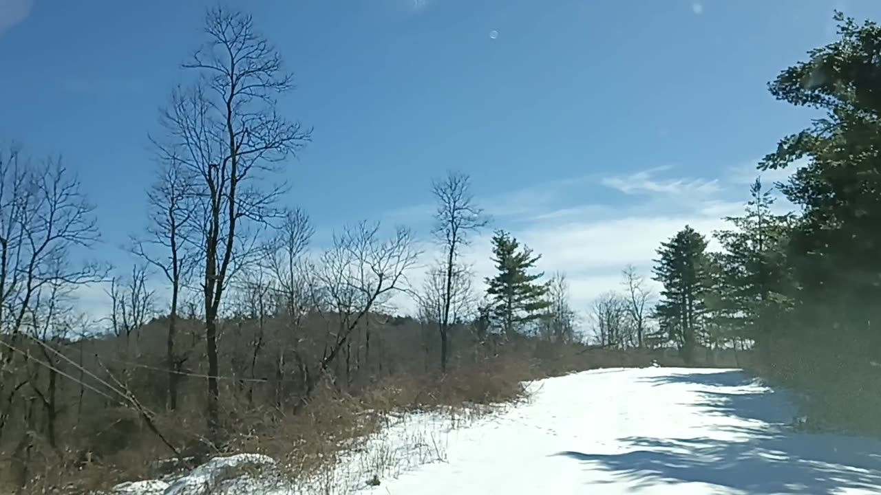 Driveway on Valentine's Day