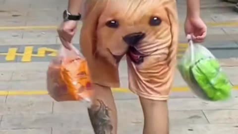 Funny video of a man wearing dog picture pants video 2025 skc.com 116