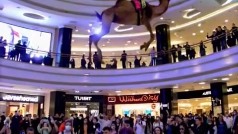 Dubai mall crazy movement 😂😂😂