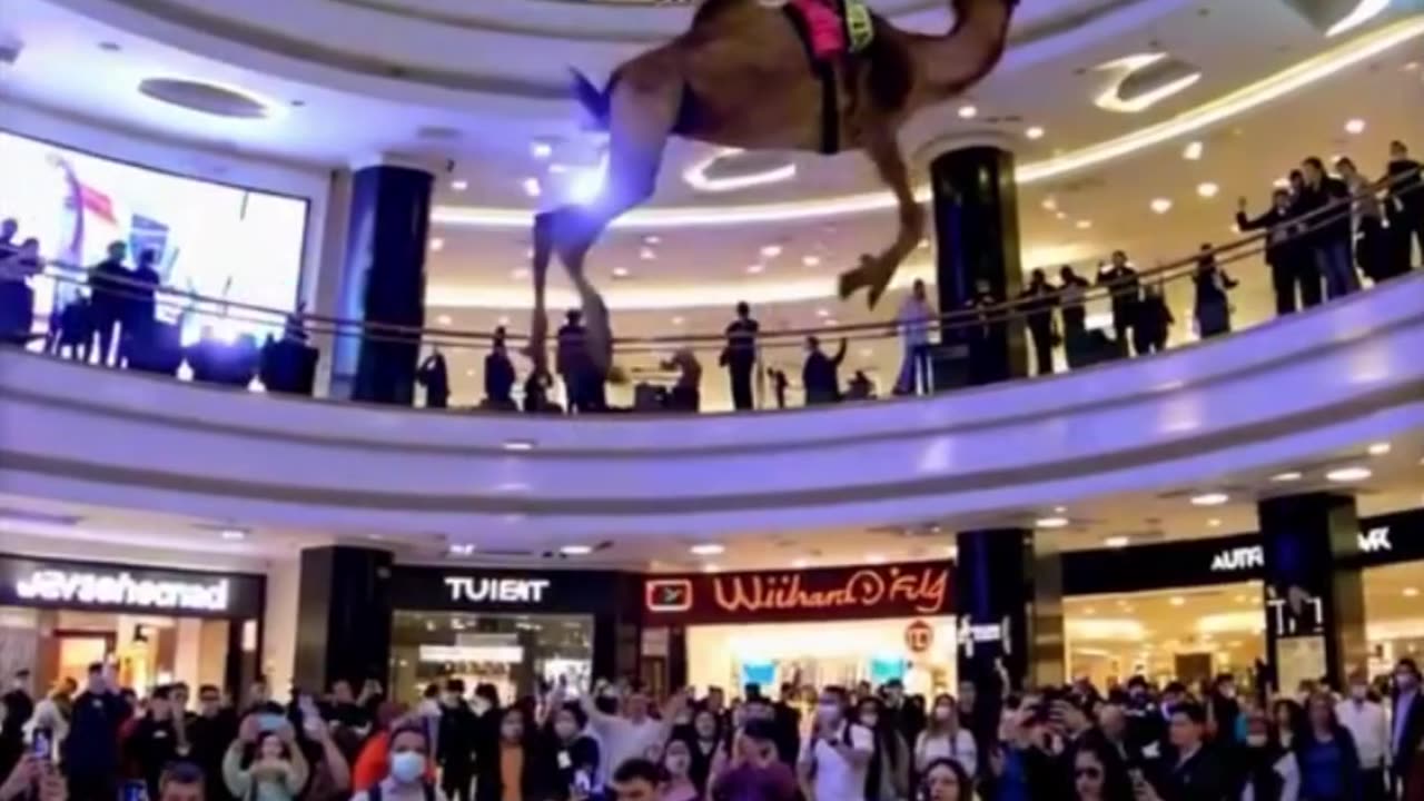 Dubai mall crazy movement 😂😂😂