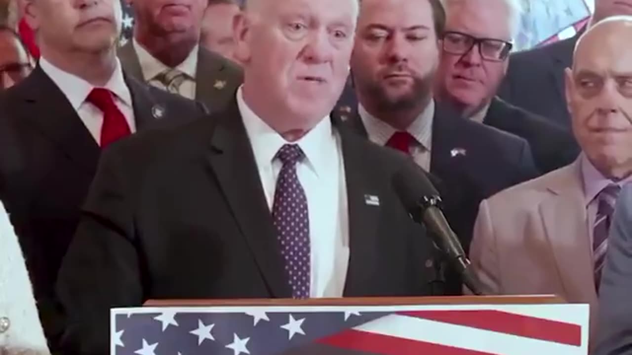 BORDER CZAR HOMAN: "NYPD were assaulted by illegal alien gang members