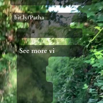 New Years Reflection | Path and Tarot Reading