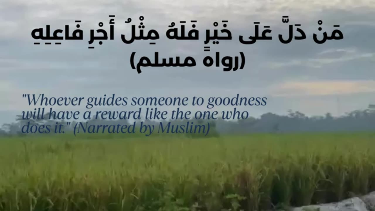 The Beauty of Islam 7