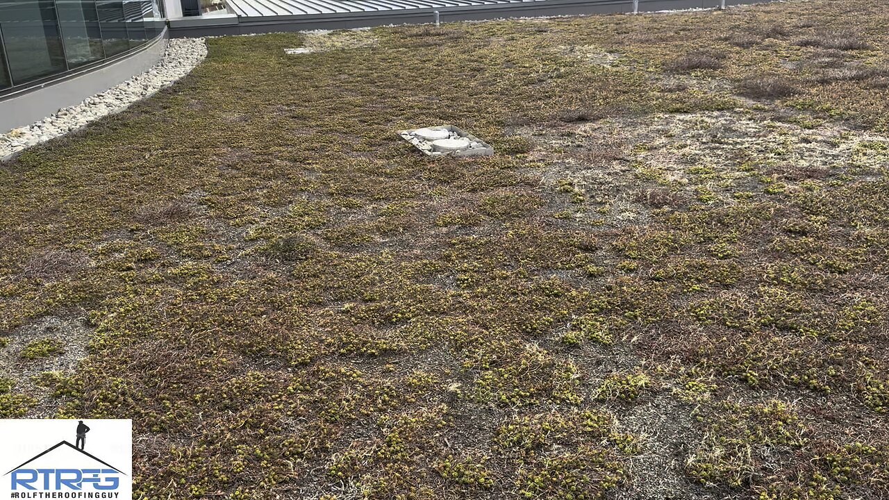 Is there a good way to find a leak on a Green Roof? With #RolfTheRoofingGuy