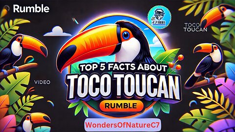 Top 5 Amazing Facts About the Toco Toucan 🐦 | Must-See Wildlife Facts! C7