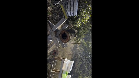 Cutting ‘roof’ off tree hive to transfer comb into hive pt 2