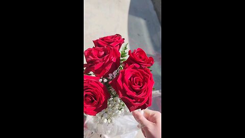 Roses 🌹