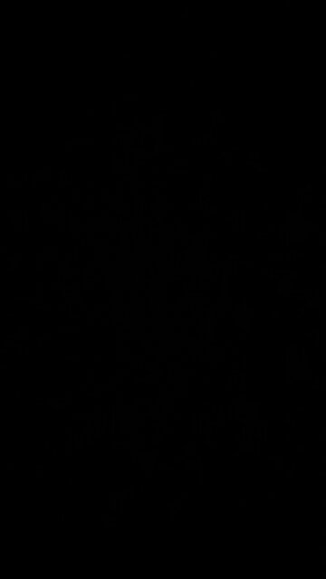 Cadillac backup camera