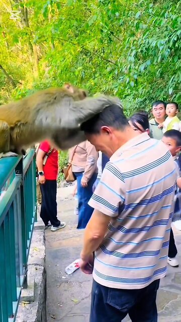 Funny 🤣🤣 Must Watch New Funny Video 2025 #shorts #funnyvideo