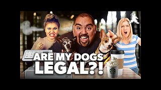 Are My Dogs Legal?! | Gabriel Iglesias