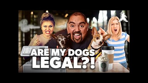 Are My Dogs Legal?! | Gabriel Iglesias