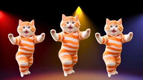 😻Cat videos funny dance 💃😃