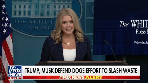 Peter Doocy_ Trump not concerned with Democratic attacks on Elon Musk