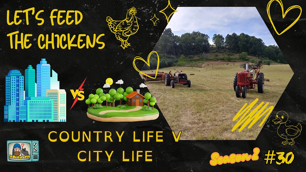 Country Life v City Life | Let's Feed the Chickens | E30