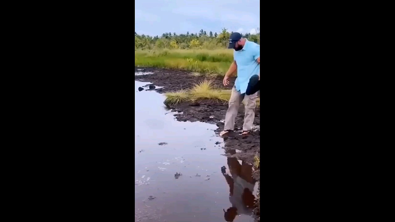 trending funny video