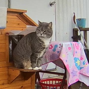 EA S122 - Good Morning