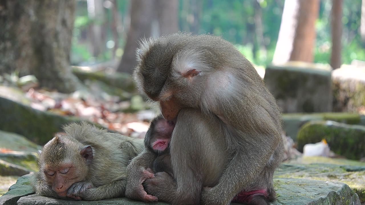 A Few Hours After Giving Birth To Newborn Baby, Mom Libby Still Exhausted