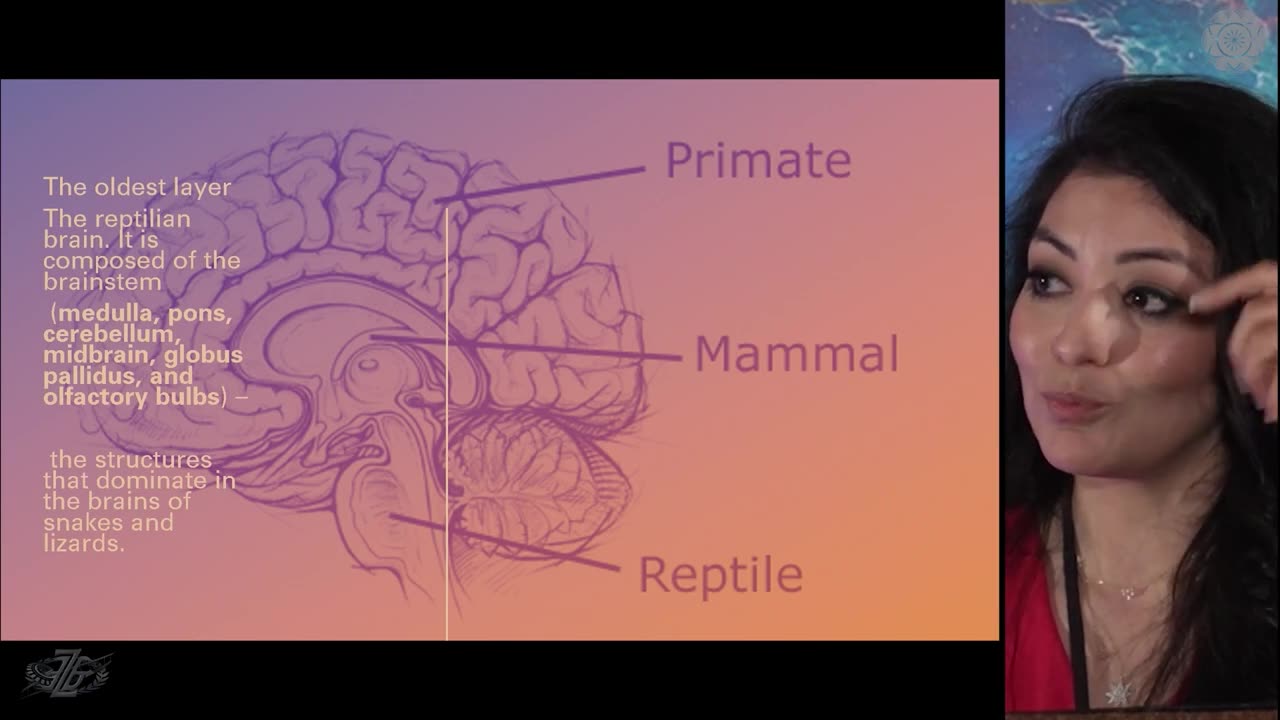 HUMAN DNA+ALIEN DNA=HYBRIDIZATION PROGRAM|WHAT ARE WE EVOLVING INTO?