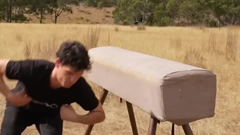 If animals did Parkour.