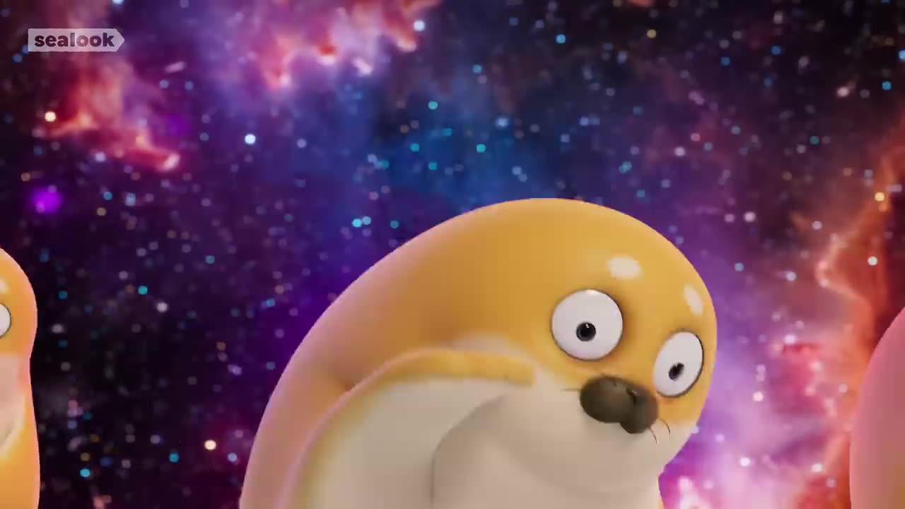 Bouncing SealsㅣSEALOOKㅣEP.05