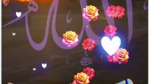 Jaza kallah ♥️✨