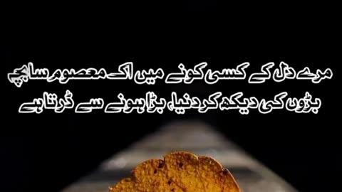 Yahan har shakas ... Urdu sad poetry shayari status