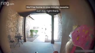 Taylor Talks to Her Neighbor On Ring Video Doorbell After Running Away From a Bobcat | RingTV