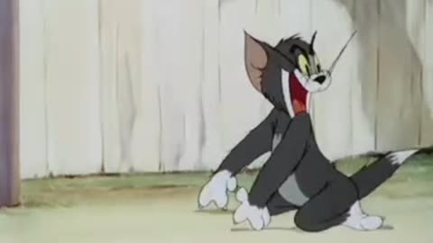 Tom and Jerry new funny comedy video🤣...