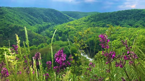 Boží zaslíbení z BIBLE pro nejistou dobu a čas __ Alfréd Strejček_2