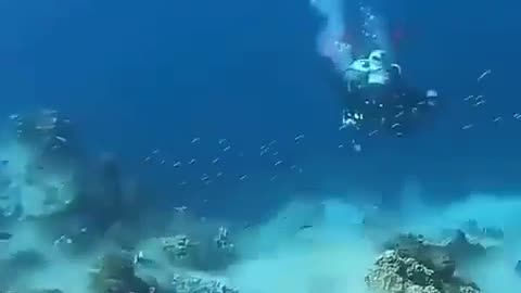 Rare video of am underwater 7.2 magnitude earthquake hitting.