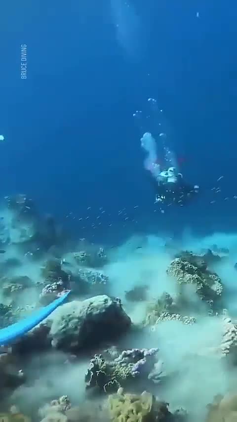 Rare video of am underwater 7.2 magnitude earthquake hitting.
