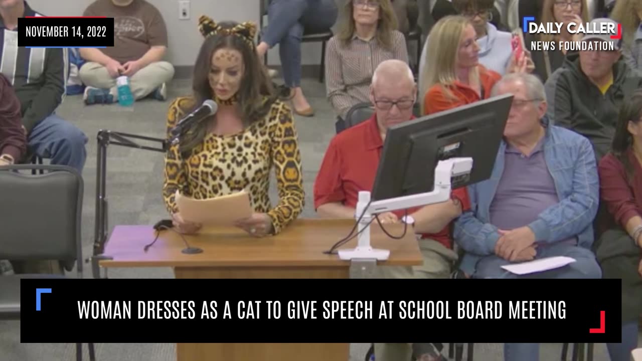 Woman Makes School Board Look Like Fools When She Dresses As Cat