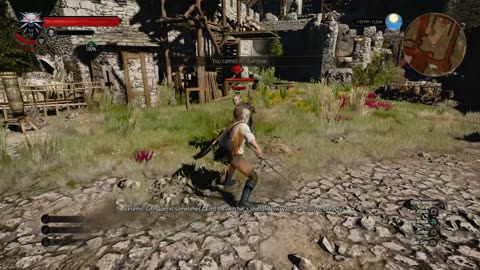 The Witcher 3 - combat skills