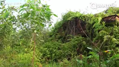 Restoring History: Three Men Uncover and Revive a 70-Year-Old Buried House for Free