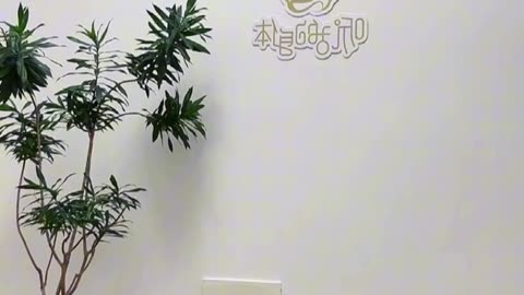 0413.祥龍迴旋