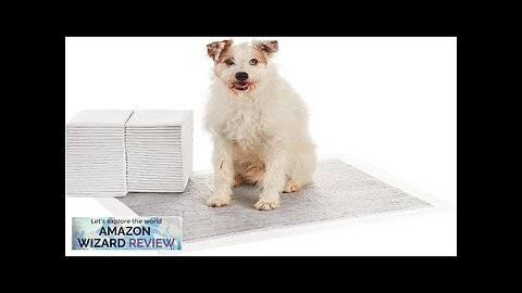 Amazon Basics Dog and Puppy Pee Pads with 5-Layer Leak-Proof Design Review