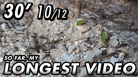 ASMR - 1st year of the channel! Finally, I can upload longer videos - 30' 10/12