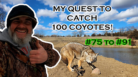 My QUEST to CATCH 100 COYOTES! Coyotes #75-#90 | S5 Ep 19