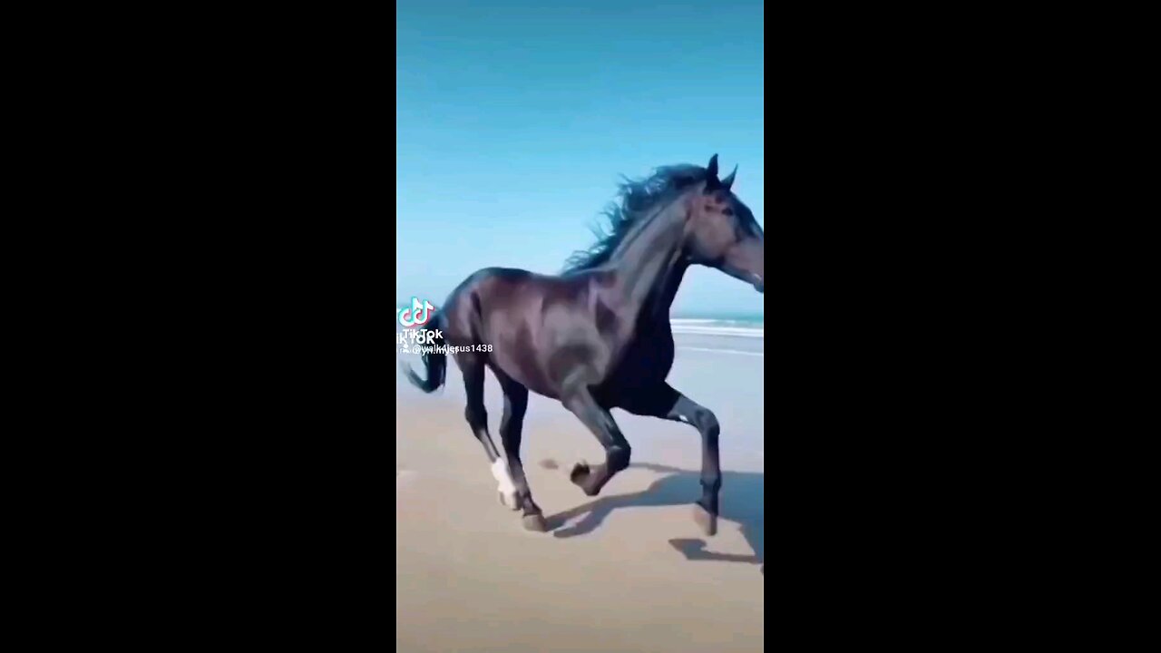 Remember who you are