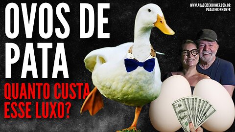 LULA: Eu como ovo de Pata e Ema, Galinha fica pra vcs.