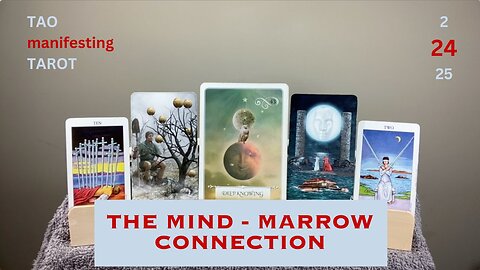 THE MIND - MARROW CONNECTION