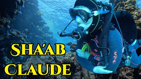 Sha'ab Claude | Egypt | Fury Shoals