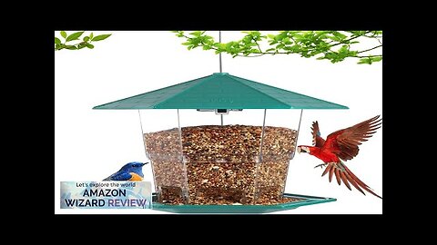 Small Bird FeedersBird Feeders for OutdoorsHanging Bird FeederBird Feeders for Outdoors Review